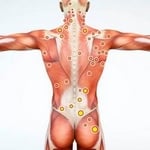 canne massage noeud musculaire trigger points